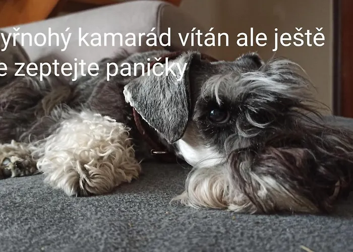 Rodinná Zdíkov
